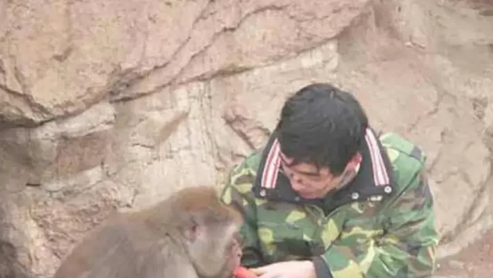 石猴授徒全过程图解